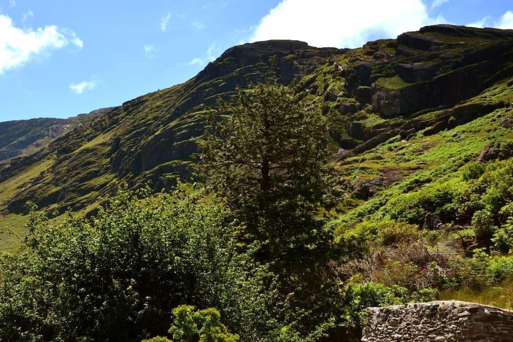 Secluded Cottage Nestled In The Beara Peninsula Κιλάρνεϊ Εξωτερικό φωτογραφία